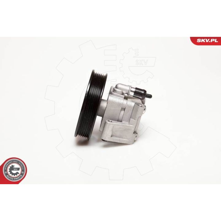 Hidraulinis siurblys, vairo sistema ESEN SKV 10SKV050