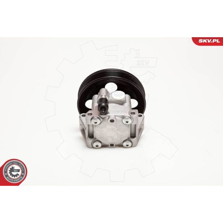 Hidraulinis siurblys, vairo sistema ESEN SKV 10SKV050