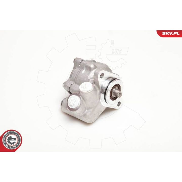 Hidraulinis siurblys, vairo sistema ESEN SKV 10SKV051