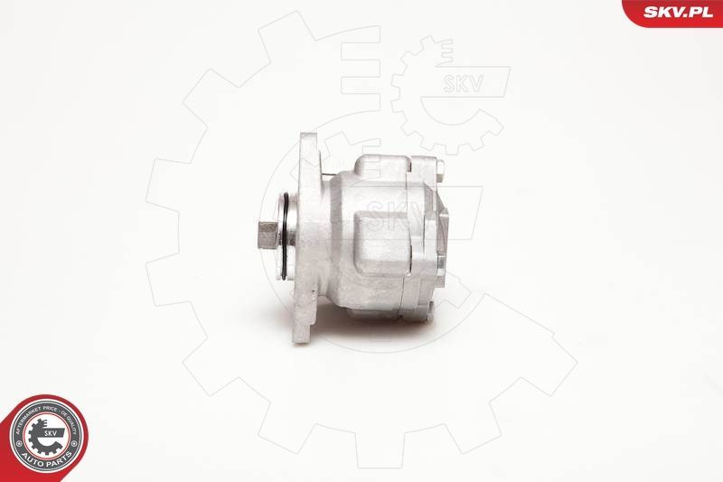 Hidraulinis siurblys, vairo sistema ESEN SKV 10SKV051