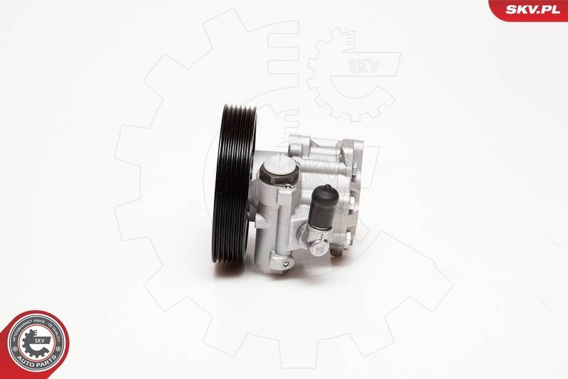 Hidraulinis siurblys, vairo sistema ESEN SKV 10SKV100