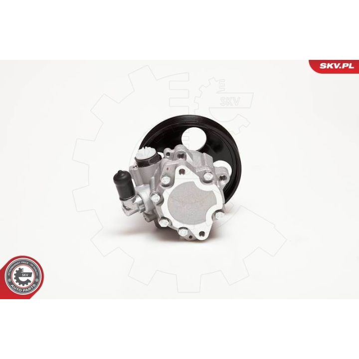 Hidraulinis siurblys, vairo sistema ESEN SKV 10SKV100