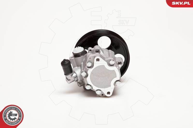 Hidraulinis siurblys, vairo sistema ESEN SKV 10SKV100