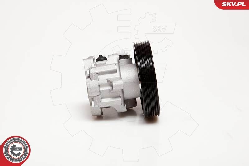 Hidraulinis siurblys, vairo sistema ESEN SKV 10SKV100