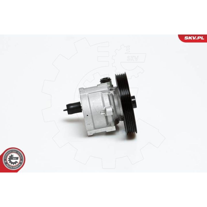 Hidraulinis siurblys, vairo sistema ESEN SKV 10SKV151