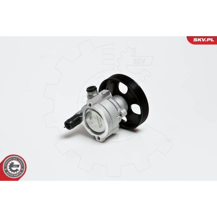 Hidraulinis siurblys, vairo sistema ESEN SKV 10SKV168