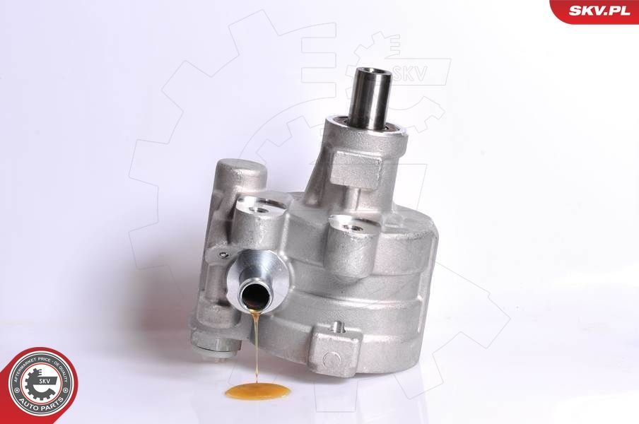 Hidraulinis siurblys, vairo sistema ESEN SKV 10SKV180