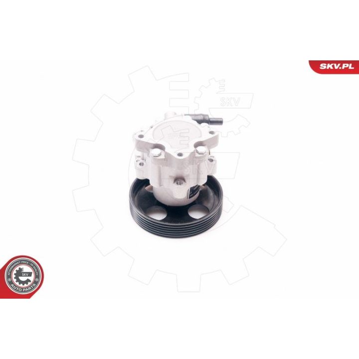 Hidraulinis siurblys, vairo sistema ESEN SKV 10SKV197