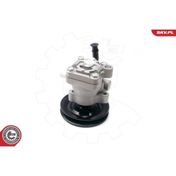 Hidraulinis siurblys, vairo sistema ESEN SKV 10SKV200