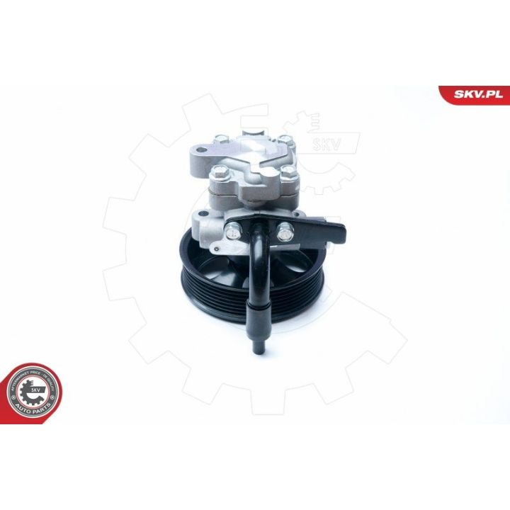 Hidraulinis siurblys, vairo sistema ESEN SKV 10SKV201