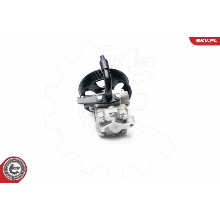 Hidraulinis siurblys, vairo sistema ESEN SKV 10SKV201