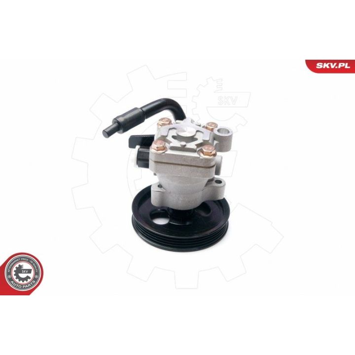 Hidraulinis siurblys, vairo sistema ESEN SKV 10SKV203