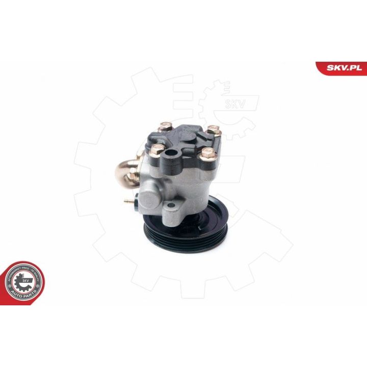 Hidraulinis siurblys, vairo sistema ESEN SKV 10SKV205