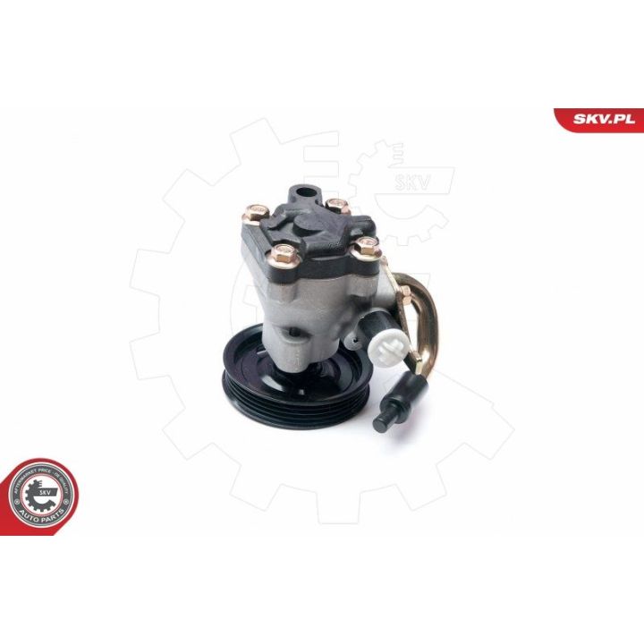 Hidraulinis siurblys, vairo sistema ESEN SKV 10SKV205