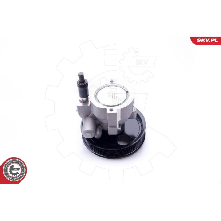 Hidraulinis siurblys, vairo sistema ESEN SKV 10SKV207