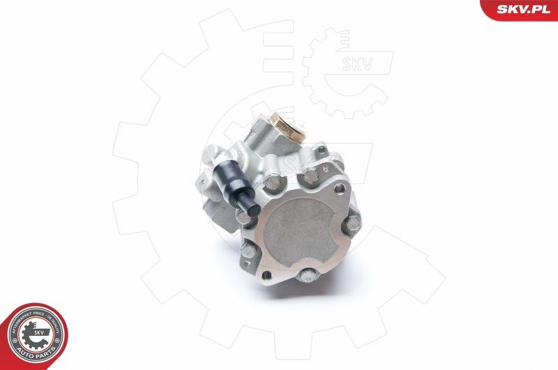 Hidraulinis siurblys, vairo sistema ESEN SKV 10SKV217