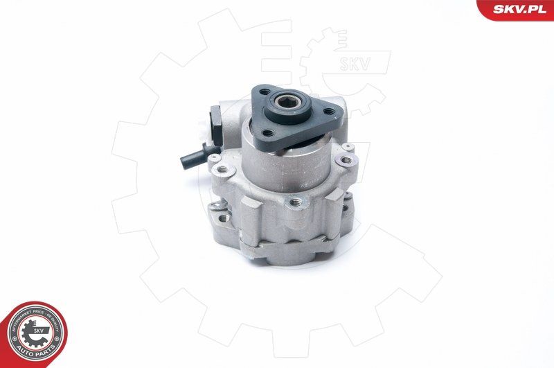 Hidraulinis siurblys, vairo sistema ESEN SKV 10SKV221