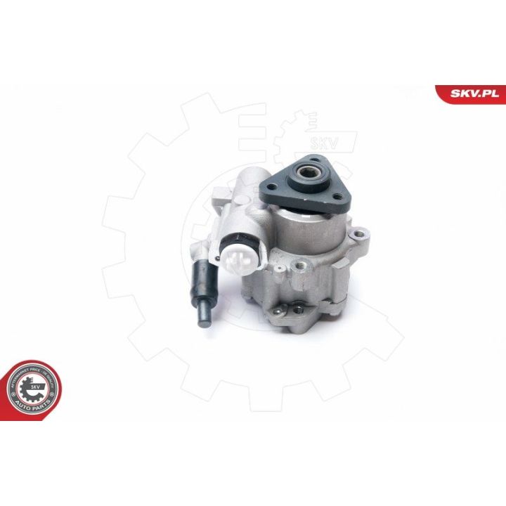 Hidraulinis siurblys, vairo sistema ESEN SKV 10SKV221