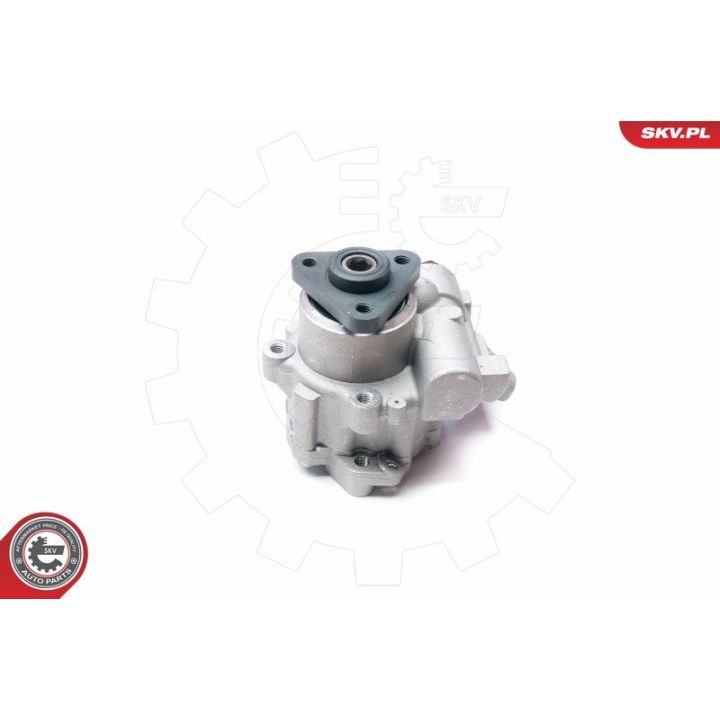 Hidraulinis siurblys, vairo sistema ESEN SKV 10SKV221