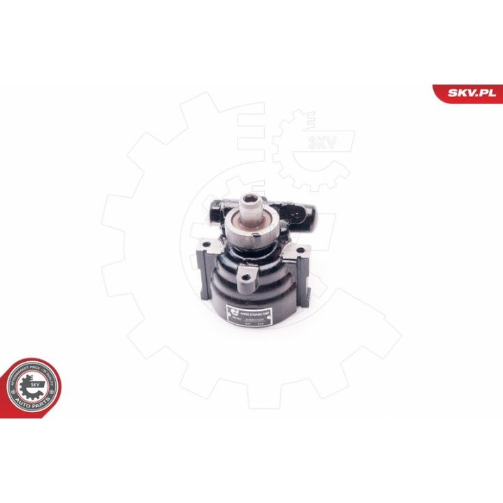 Hidraulinis siurblys, vairo sistema ESEN SKV 10SKV229