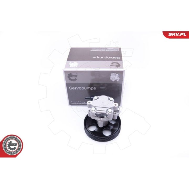 Hidraulinis siurblys, vairo sistema ESEN SKV 10SKV254