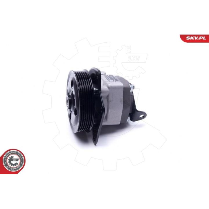 Hidraulinis siurblys, vairo sistema ESEN SKV 10SKV294