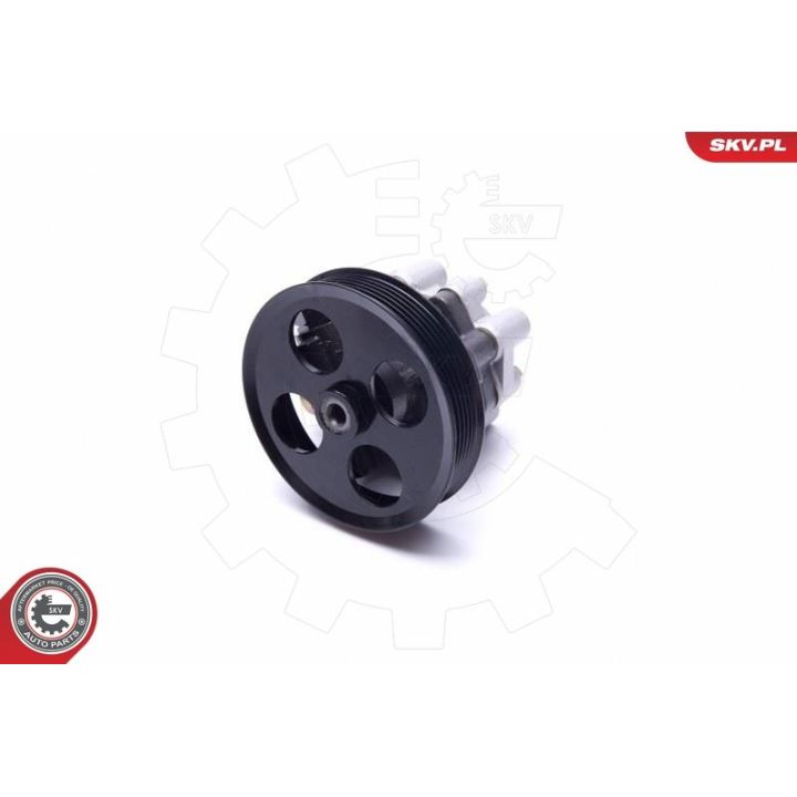 Hidraulinis siurblys, vairo sistema ESEN SKV 10SKV298