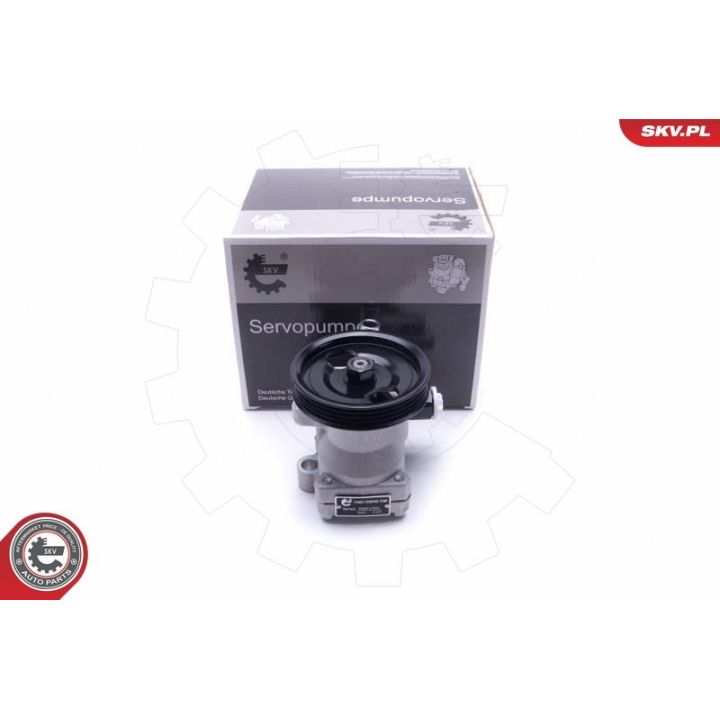 Hidraulinis siurblys, vairo sistema ESEN SKV 10SKV300