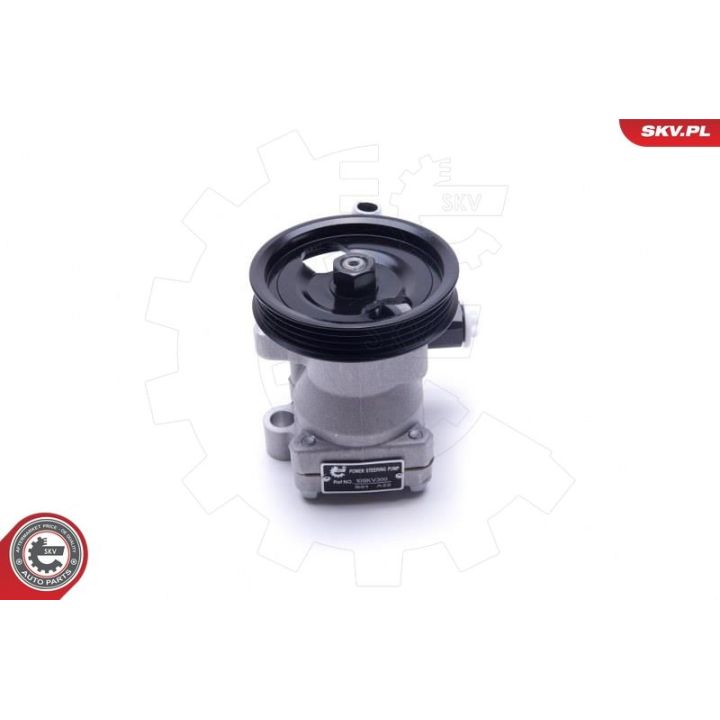 Hidraulinis siurblys, vairo sistema ESEN SKV 10SKV300