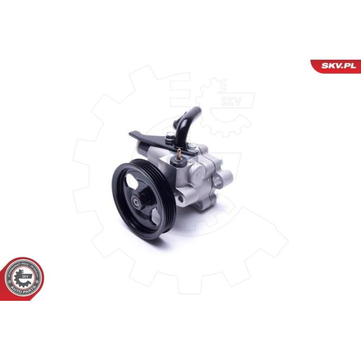 Hidraulinis siurblys, vairo sistema ESEN SKV 10SKV301