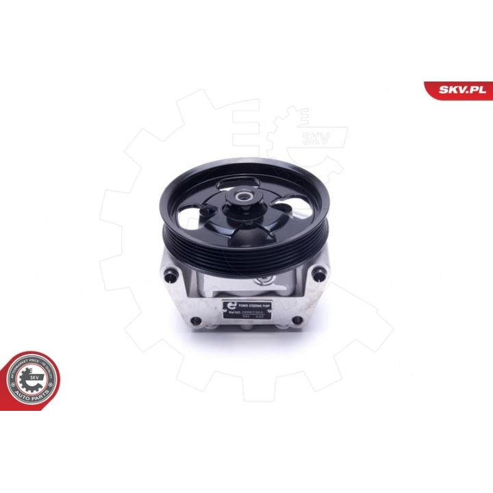 Hidraulinis siurblys, vairo sistema ESEN SKV 10SKV304