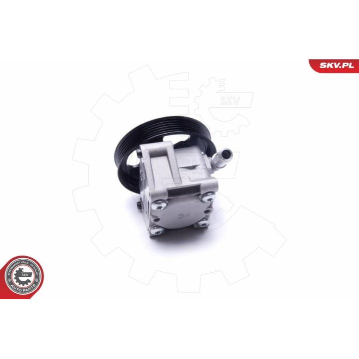 Hidraulinis siurblys, vairo sistema ESEN SKV 10SKV304