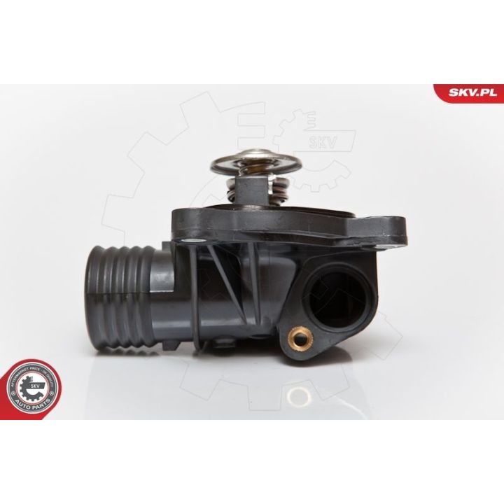 Termostatas, aušinimo skystis ESEN SKV 20SKV001