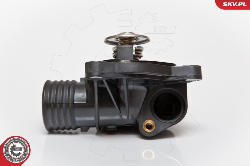 Termostatas, aušinimo skystis ESEN SKV 20SKV001