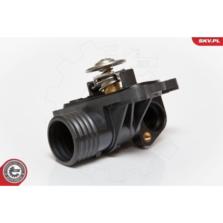 Termostatas, aušinimo skystis ESEN SKV 20SKV001