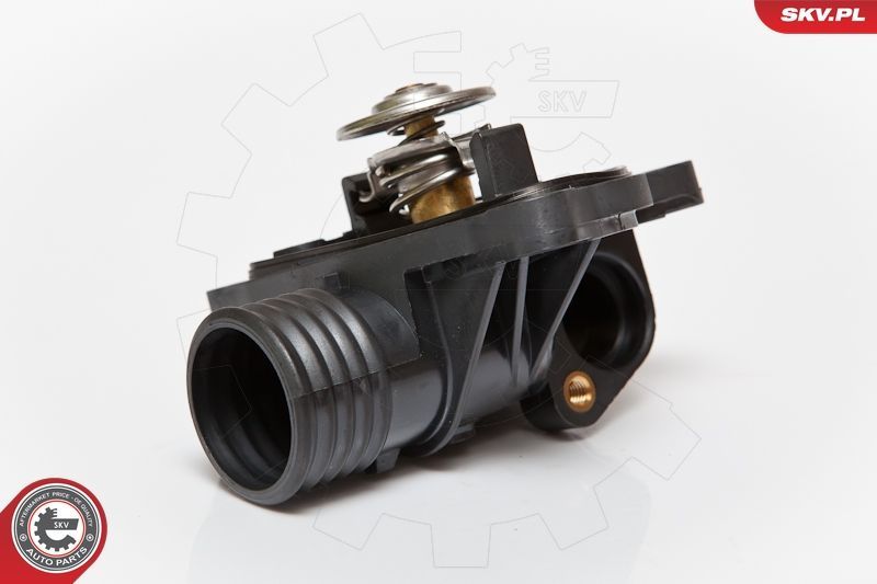 Termostatas, aušinimo skystis ESEN SKV 20SKV001