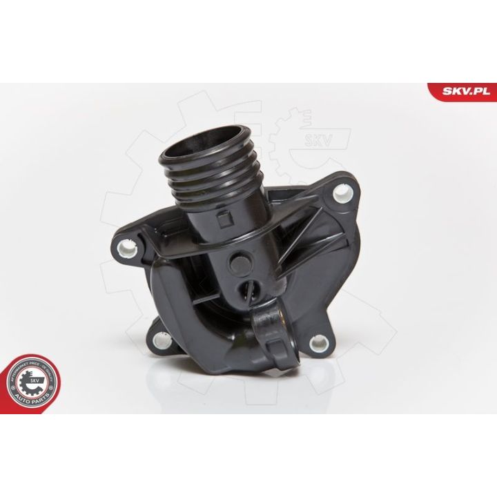 Termostatas, aušinimo skystis ESEN SKV 20SKV001