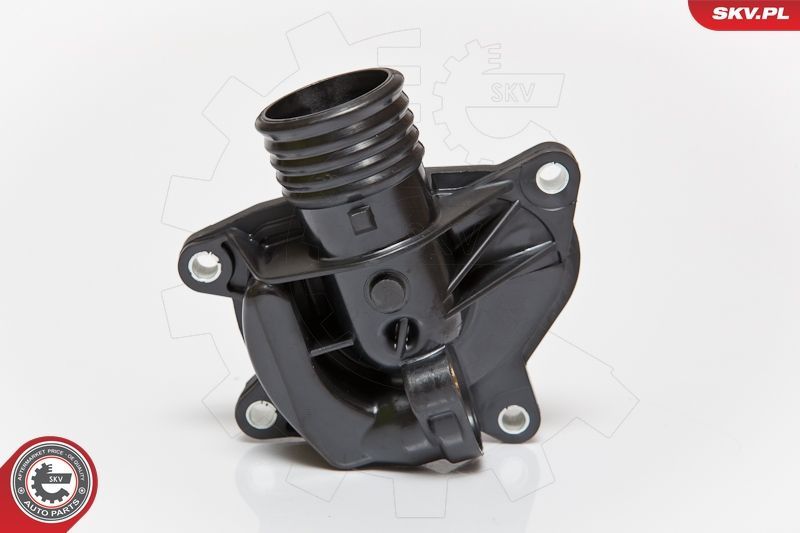 Termostatas, aušinimo skystis ESEN SKV 20SKV001