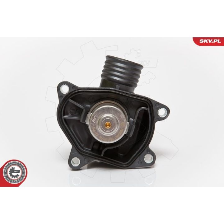 Termostatas, aušinimo skystis ESEN SKV 20SKV001