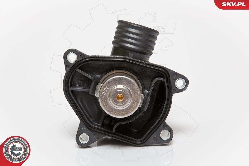 Termostatas, aušinimo skystis ESEN SKV 20SKV001