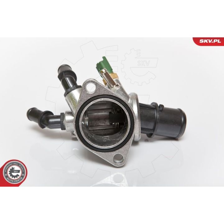 Termostatas, aušinimo skystis ESEN SKV 20SKV004