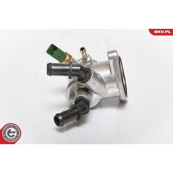 Termostatas, aušinimo skystis ESEN SKV 20SKV004