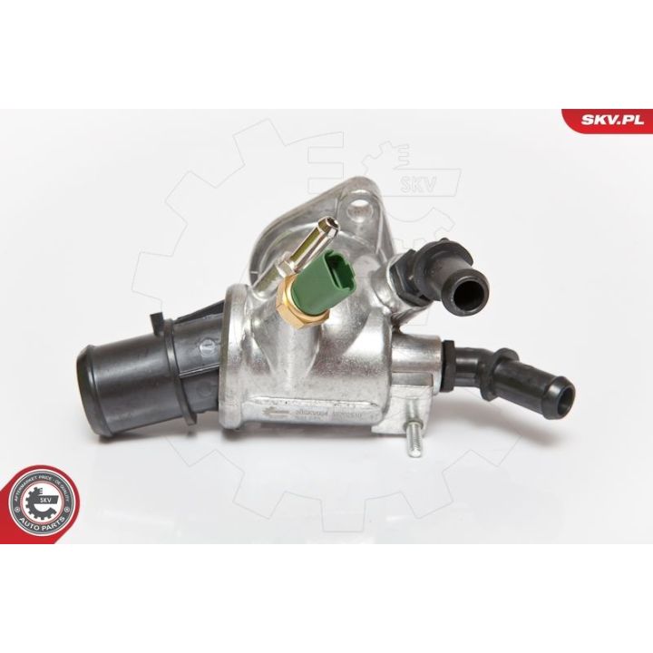 Termostatas, aušinimo skystis ESEN SKV 20SKV004