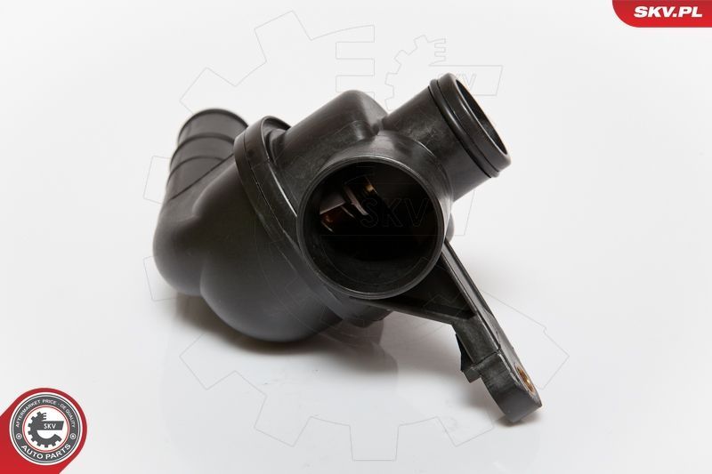 Termostatas, aušinimo skystis ESEN SKV 20SKV007