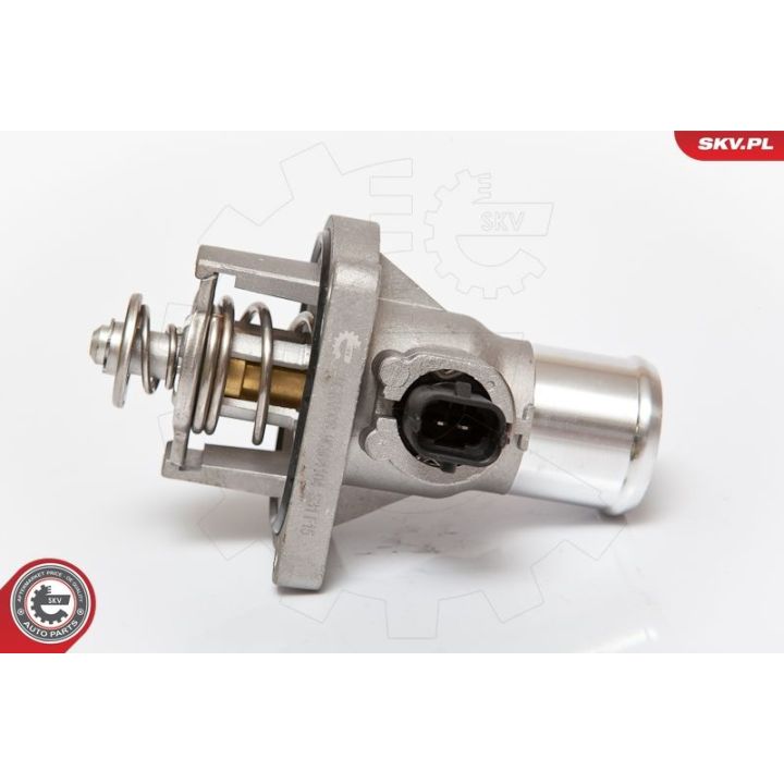 Termostatas, aušinimo skystis ESEN SKV 20SKV008