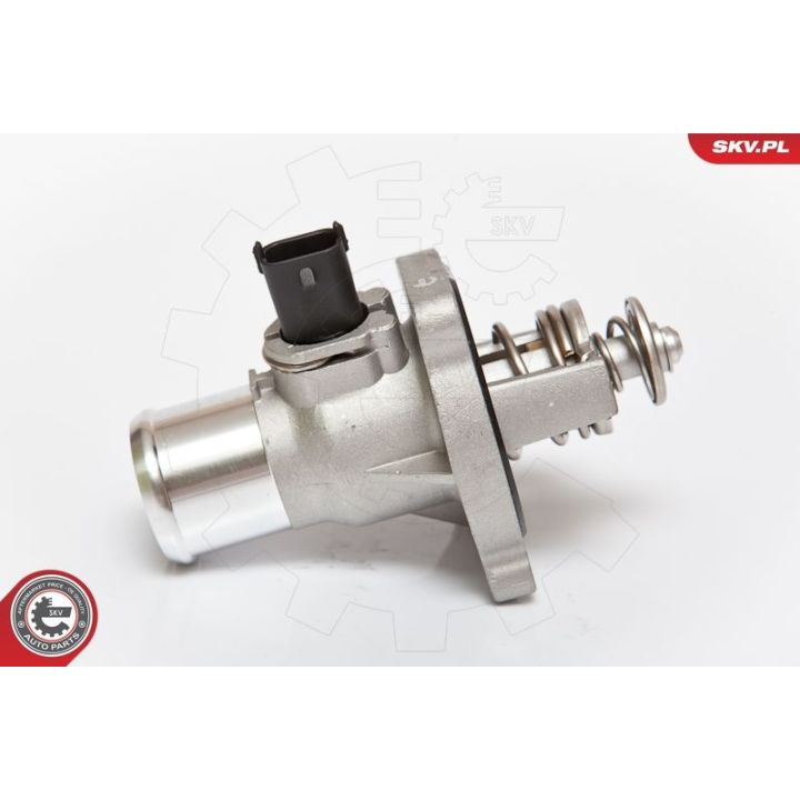 Termostatas, aušinimo skystis ESEN SKV 20SKV008