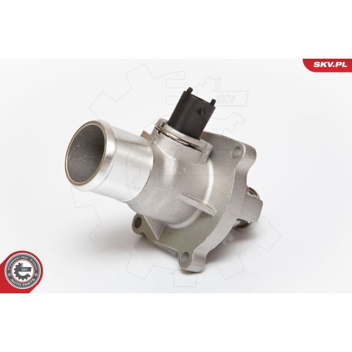 Termostatas, aušinimo skystis ESEN SKV 20SKV008