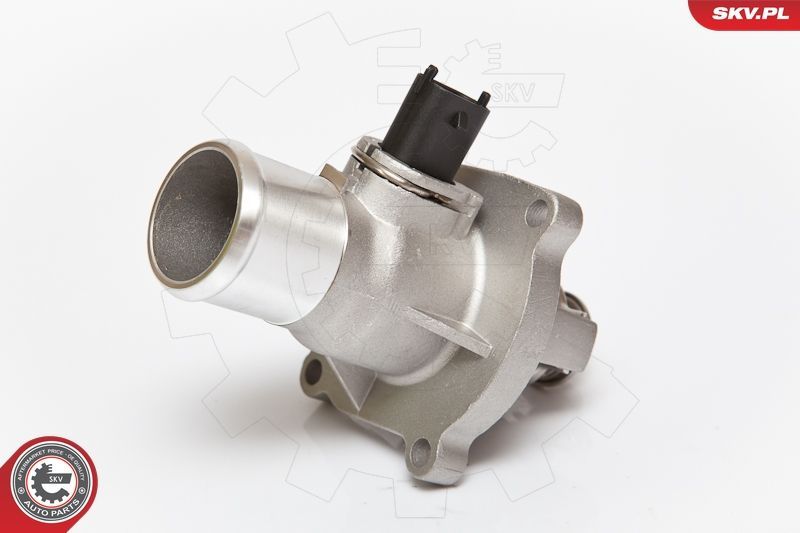 Termostatas, aušinimo skystis ESEN SKV 20SKV008