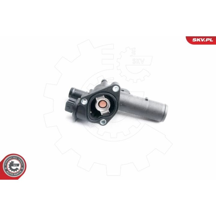 Termostatas, aušinimo skystis ESEN SKV 20SKV021