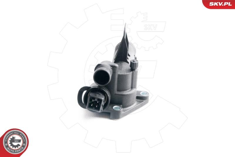 Termostatas, aušinimo skystis ESEN SKV 20SKV021